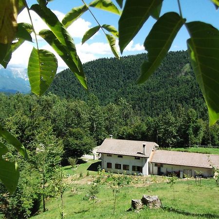Bosco Delle Rune ..Un Angolo Di Paradiso Platischis Eksteriør bilde