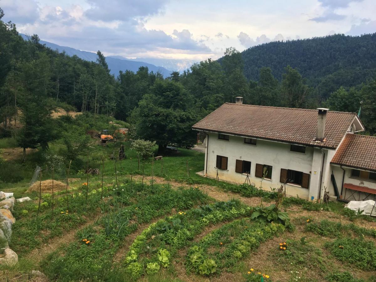 Bosco Delle Rune ..Un Angolo Di Paradiso Platischis Eksteriør bilde