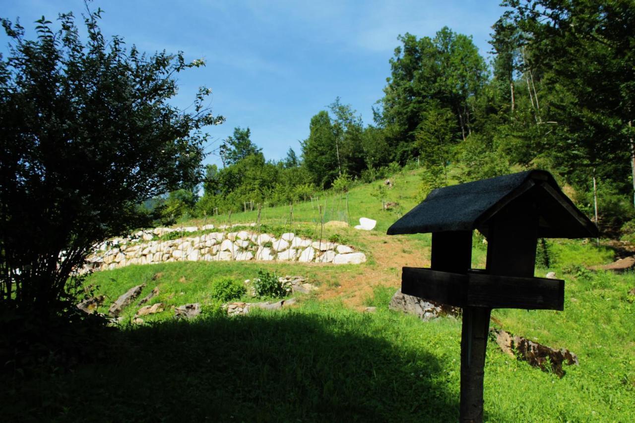 Bosco Delle Rune ..Un Angolo Di Paradiso Platischis Eksteriør bilde
