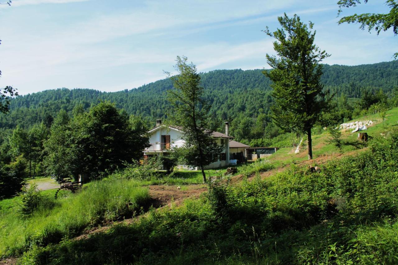 Bosco Delle Rune ..Un Angolo Di Paradiso Platischis Eksteriør bilde