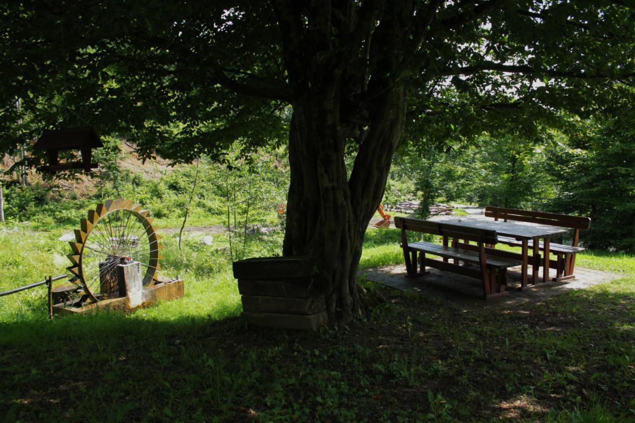 Bosco Delle Rune ..Un Angolo Di Paradiso Platischis Eksteriør bilde